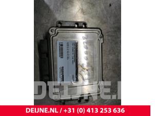 Gebruikte Computer Motormanagement Opel Vivaro 1.9 DTI 16V Prijs € 151,25 Inclusief btw aangeboden door van Deijne Onderdelen Uden B.V.