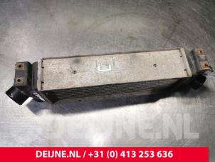 Ford Transit Ladeluftkühler O166822 foto 2