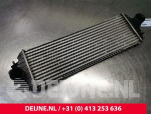 Opel Vivaro Ladeluftkühler O169196 foto 2
