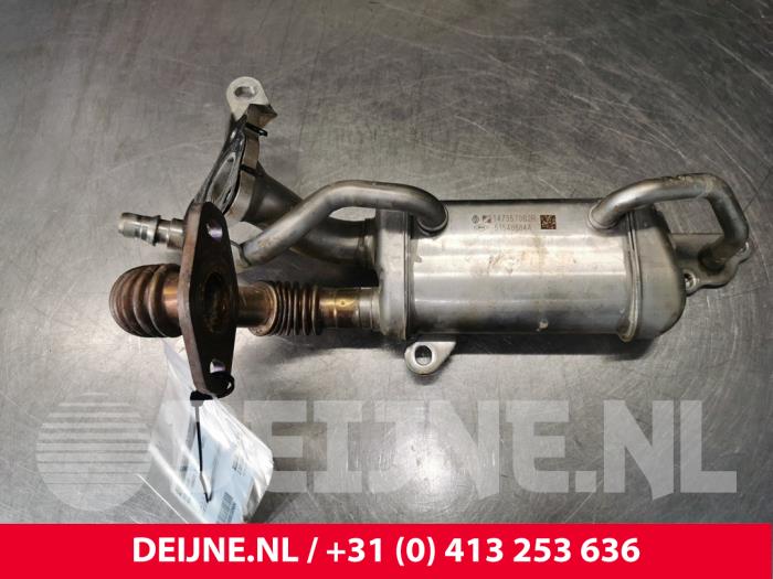 Renault Kangoo AGR Kühler O169604