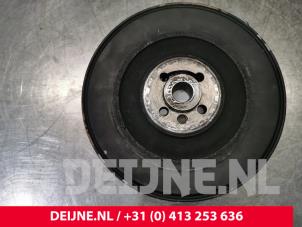 Volkswagen Transporter Krukas Poelie O171255 foto 2