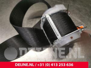 Tesla Model S Sicherheitsgurt rechts hinten O171540 foto 2
