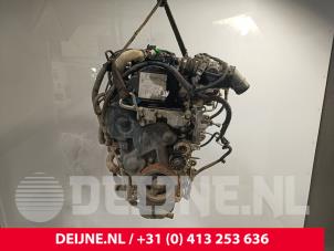 Citroen Berlingo Engine O176629 photo 2
