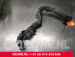 Peugeot Expert Intercooler Rohr O176825 foto 2