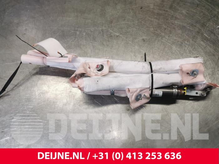 Tesla Model S Roof curtain airbag, left O176852