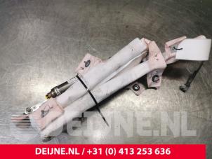 Tesla Model S Airbag Himmel links O176852 foto 2