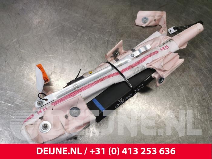 Tesla Model S Roof curtain airbag, right O176853