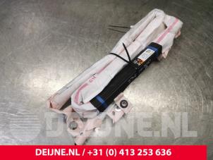 Tesla Model S Roof curtain airbag, right O176853 photo 3