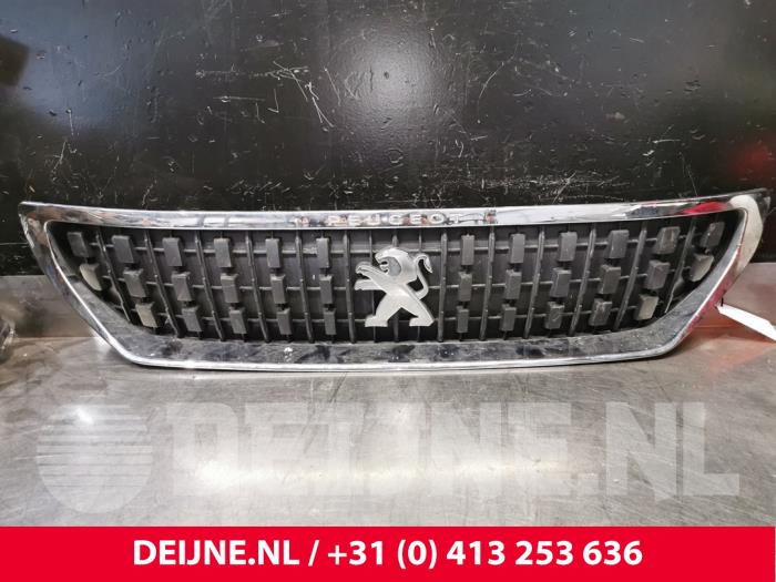 Peugeot Expert Grille O181115