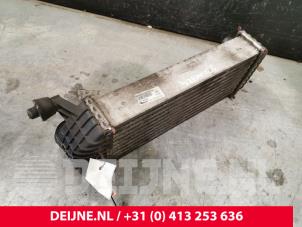 Renault Kangoo Intercooler O181387 foto 3