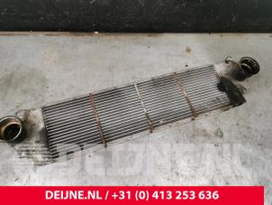 Volkswagen Transporter Intercooler O181867 photo 2