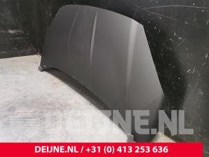 Ford Transit Courier Motorkap O9990001879 foto 2