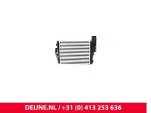 Peugeot Expert Intercooler O9990002016 foto 2