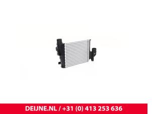 Peugeot Expert Intercooler O9990002016 foto 4