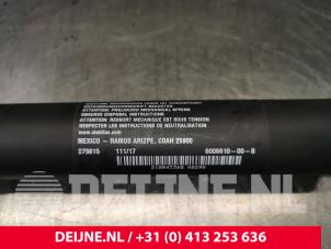Tesla Model S Gasdämpfer rechts hinten O203353 foto 2