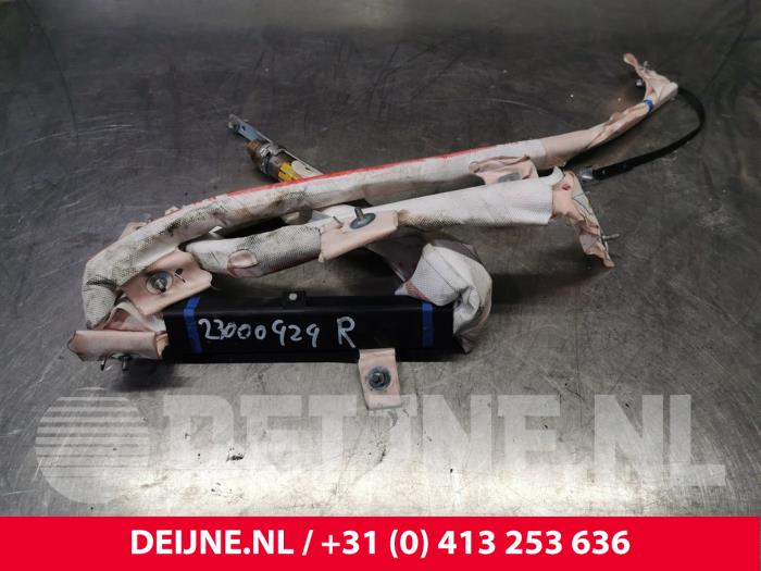 Tesla Model S Airbag hemel rechts O204666