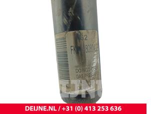 Ford Transit Custom Rear shock absorber, left O211223 photo 3
