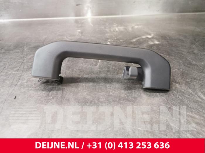 Polestar 2 Handgriff O212439