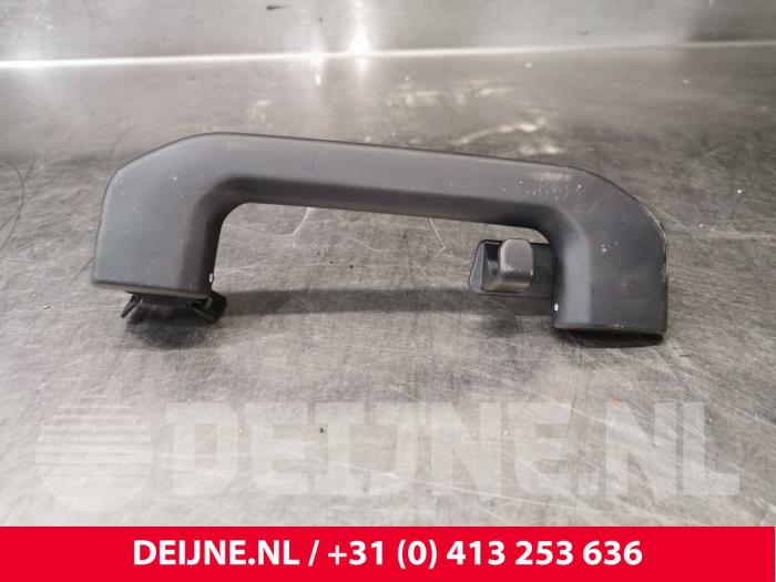 Polestar 2 Handgriff O212440