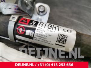 Tesla Model 3 Airbag hemel rechts O213165 foto 2