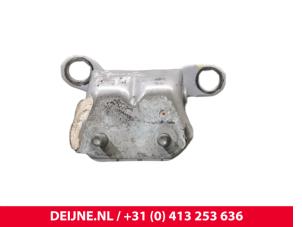 BYD Atto 3 Rear door hinge, right O218082 photo 2