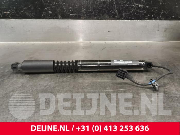 Tesla Model X Gasdämpfer links hinten O221138