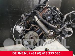 Ford Transit Custom Motor O224496 foto 3