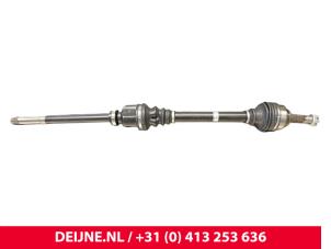 Citroen Jumpy Antriebswelle rechts vorne O9990002219 foto 2