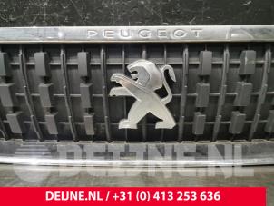 Peugeot Expert Grille O228625 foto 2