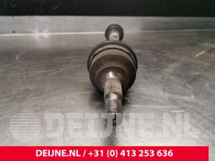 Peugeot Expert Antriebswelle rechts vorne O230516 foto 3