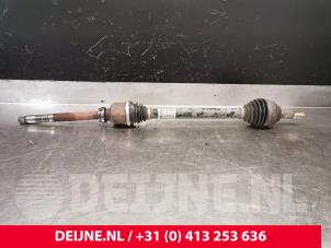 Peugeot Expert Antriebswelle rechts vorne O230516 foto 2