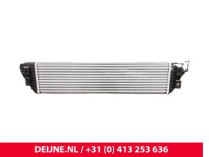 Renault Master Intercooler O9990002325 foto 4