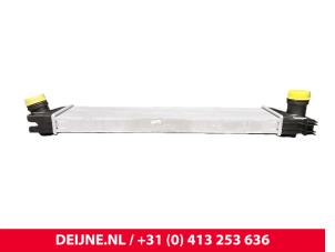Renault Master Intercooler O9990002325 foto 3