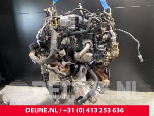 Ford Transit Motor O231060 foto 2