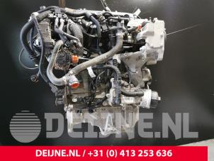 Fiat Doblo Engine O233389 photo 2