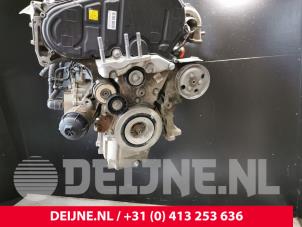 Fiat Doblo Engine O233390 photo 4