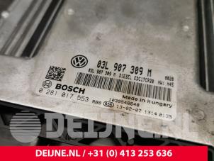 Volkswagen Transporter Engine management computer O234124 photo 3