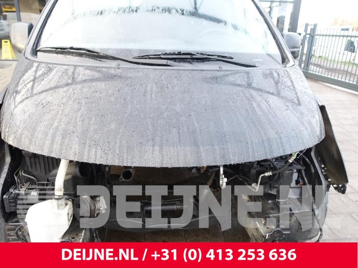 Hyundai H300 Motorhaube O237449