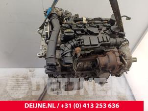 Citroen Jumpy Engine O237487 photo 2