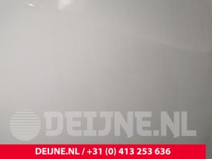 Mercedes Sprinter Tür 2-türig rechts O238818 foto 2