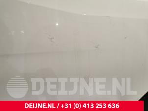 Mercedes Sprinter Tür 2-türig rechts O238819 foto 2