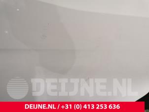 Mercedes Sprinter Tür 2-türig rechts O238828 foto 3