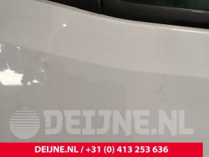 Mercedes Sprinter Tür 2-türig rechts O238829 foto 4