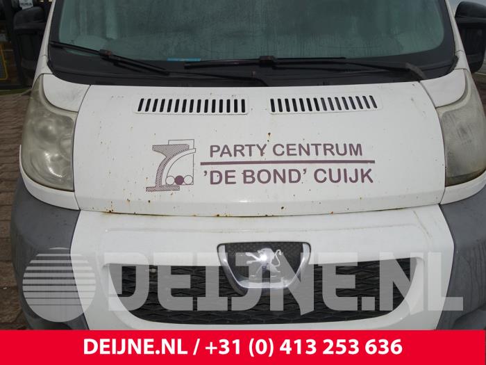 Peugeot Boxer Bonnet O239936