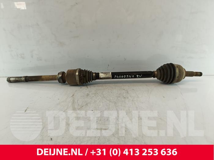 Peugeot Expert Antriebswelle rechts vorne O241651