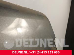 Volkswagen Caddy Schiebetür rechts O242673 foto 3