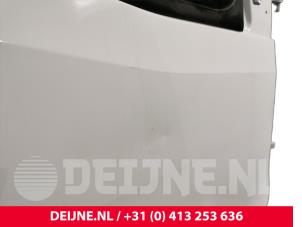 Mercedes Sprinter Tür 2-türig rechts O244535 foto 2