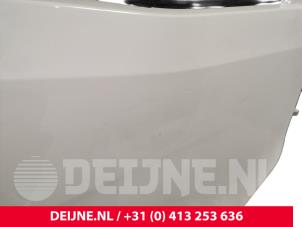 Mercedes Sprinter Tür 2-türig rechts O244536 foto 2