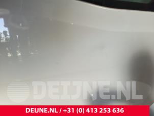 Mercedes Sprinter Tür 2-türig rechts O244546 foto 2