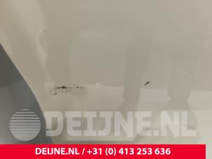 Mercedes Sprinter Tür 2-türig rechts O244551 foto 3